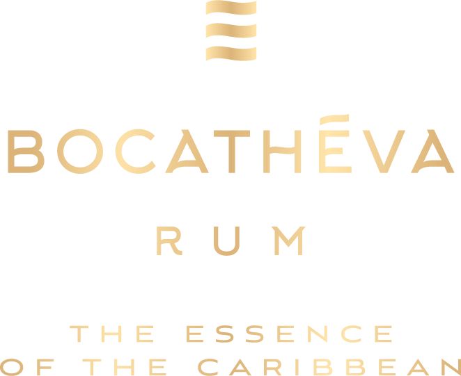 Logo Bocatheva