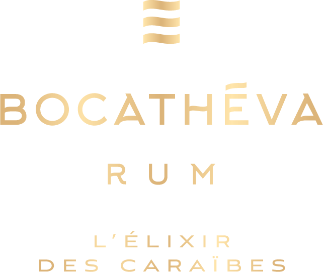 Logo Bocatheva